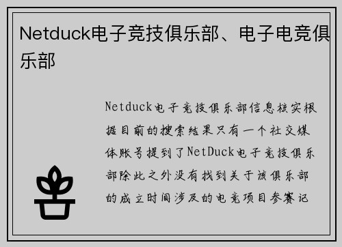 Netduck电子竞技俱乐部、电子电竞俱乐部